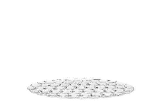 Jellies-Family-undreplate.1596